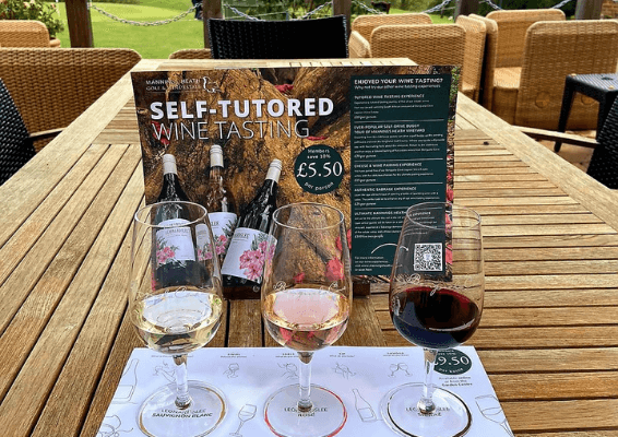 Self-tutored-wine-tasting-experience-Horsham
